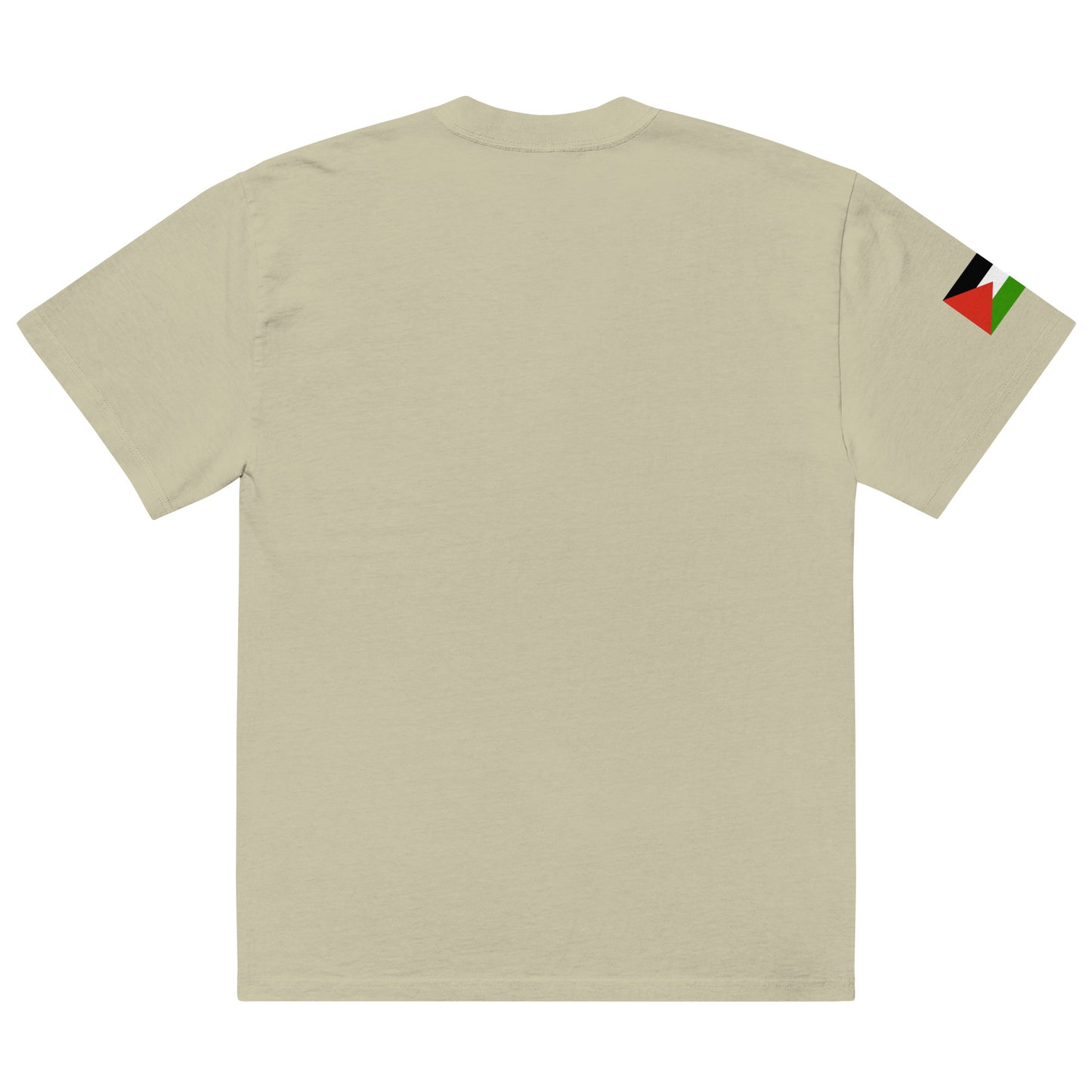 Diaper Forces Oversized faded T-shirt By Halal Cultures