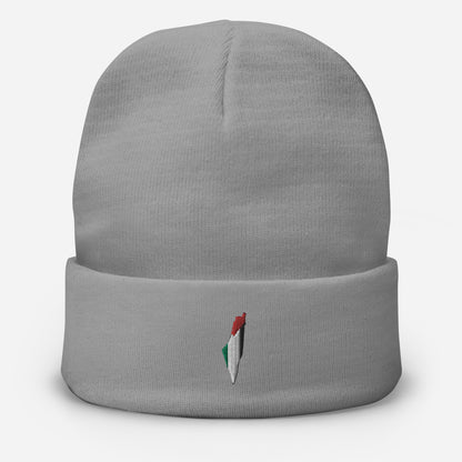 Palestinian Map Beanie