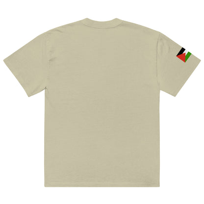 Diaper Forces Oversized faded T-shirt By Halal Cultures