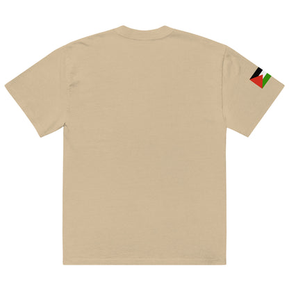 Diaper Forces Oversized faded T-shirt By Halal Cultures