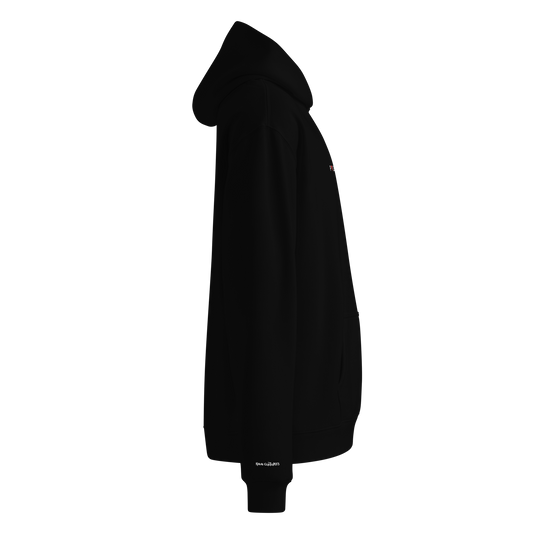 PALESTINE EDITION 010 Oversized hoodie